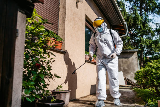 Professional Pest Control in Winooski, VT