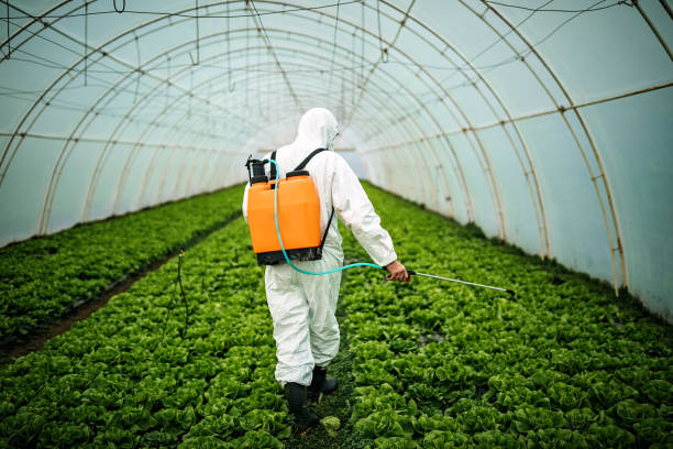 Best Pest Inspection Near Me  in Winooski, VT