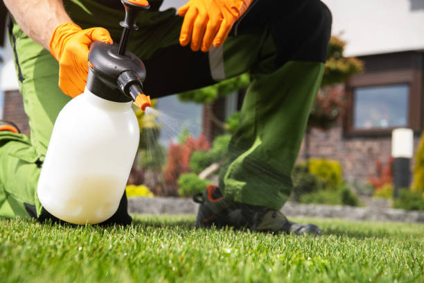 Best Commercial Pest Control Services  in Winooski, VT