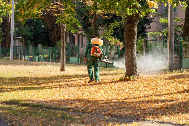 Pest Control Cost in Winooski, VT